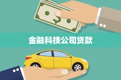 山上金融科技公司贷款