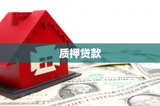 赫山质押贷款