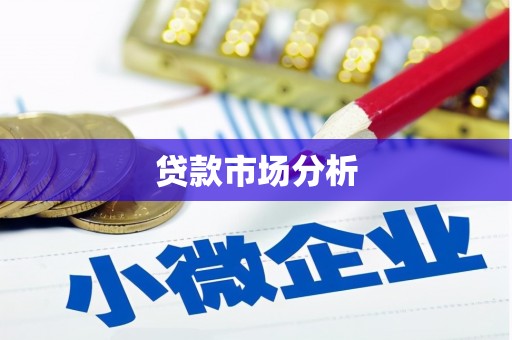 沙湾贷款市场分析