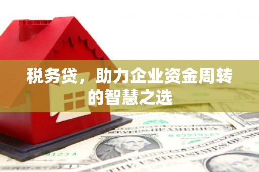 喀什税务贷，助力企业资金周转的智慧之选