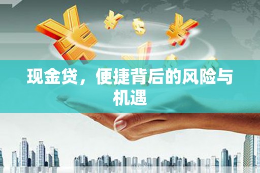 丽水现金贷，便捷背后的风险与机遇