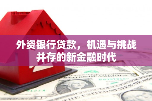 张湾外资银行贷款，机遇与挑战并存的新金融时代