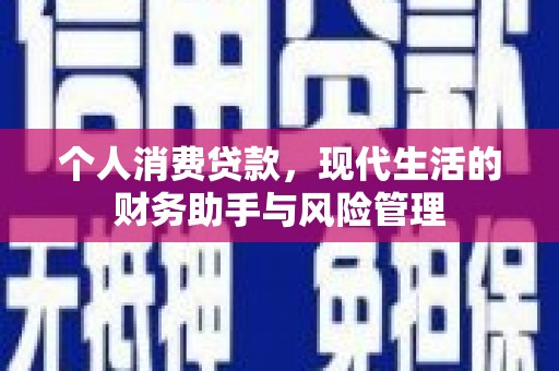 镇安个人消费贷款，现代生活的财务助手与风险管理