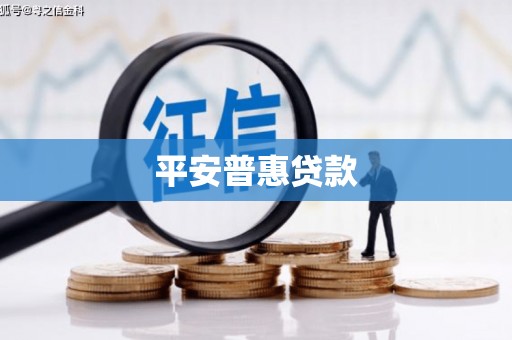 衡东平安普惠贷款