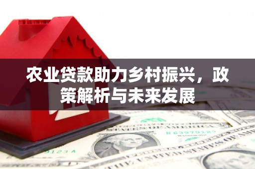 海兴农业贷款助力乡村振兴，政策解析与未来发展