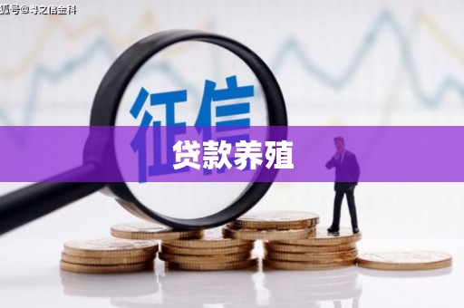 沙鹿贷款养殖