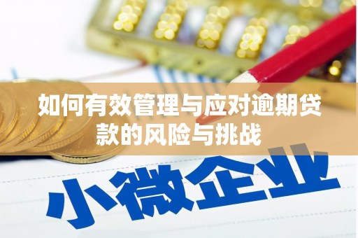 三湾如何有效管理与应对逾期贷款的风险与挑战