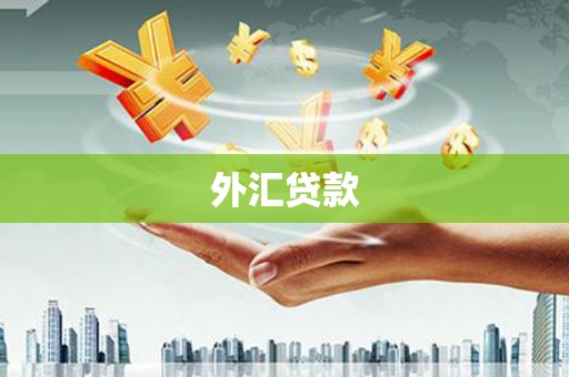 武侯外汇贷款