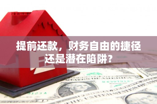林西提前还款，财务自由的捷径还是潜在陷阱？