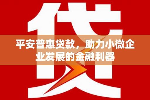 宁武平安普惠贷款，助力小微企业发展的金融利器
