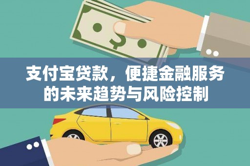 金阳支付宝贷款，便捷金融服务的未来趋势与风险控制
