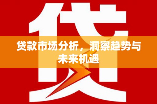 双清贷款市场分析，洞察趋势与未来机遇