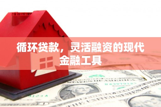 海原循环贷款，灵活融资的现代金融工具