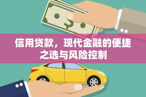琼结信用贷款，现代金融的便捷之选与风险控制