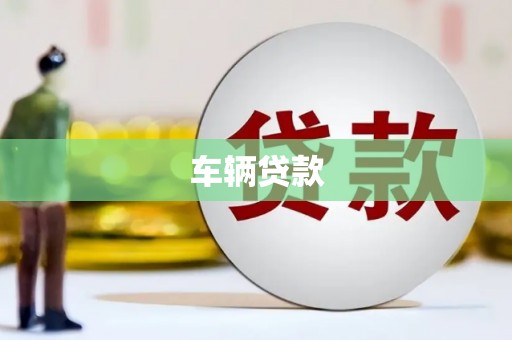 阜宁车辆贷款