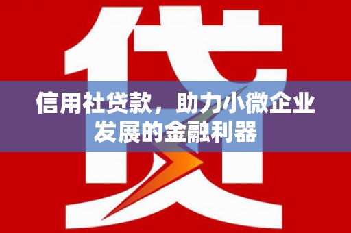 邵东信用社贷款，助力小微企业发展的金融利器