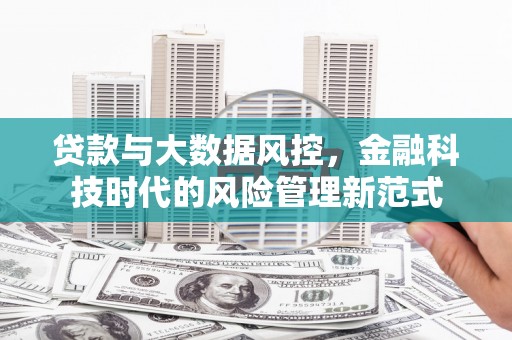 萨嘎贷款与大数据风控，金融科技时代的风险管理新范式
