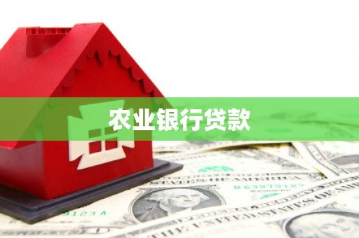 丽水农业银行贷款