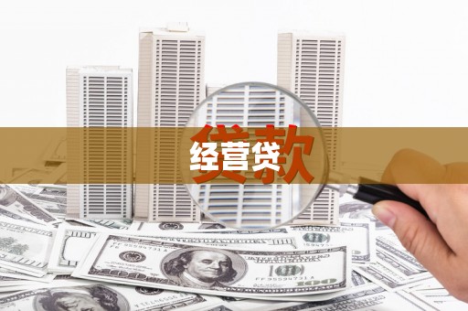 枞阳经营贷