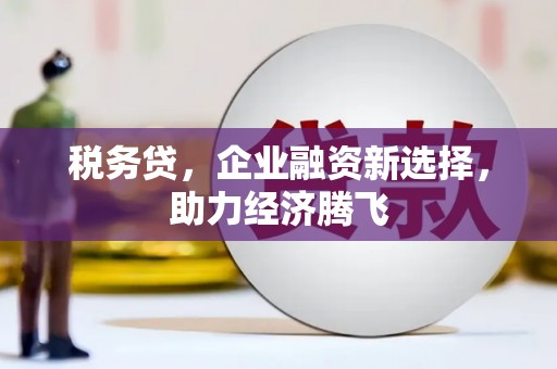 阳春税务贷，企业融资新选择，助力经济腾飞