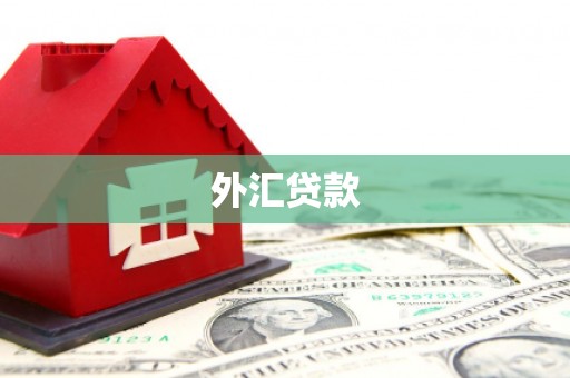 安庆外汇贷款
