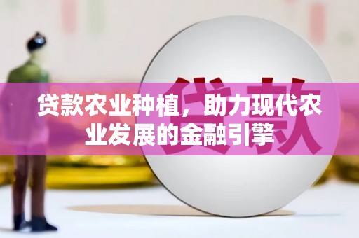 坦洲贷款农业种植，助力现代农业发展的金融引擎
