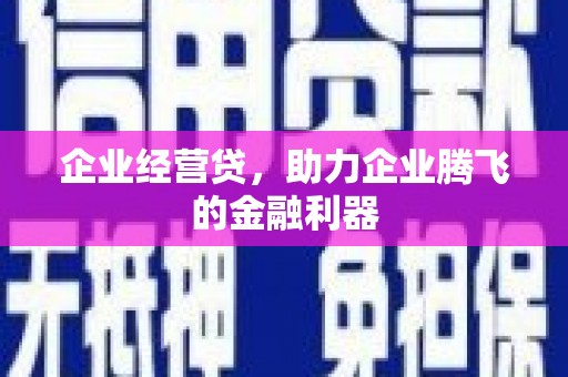 金沙企业经营贷，助力企业腾飞的金融利器