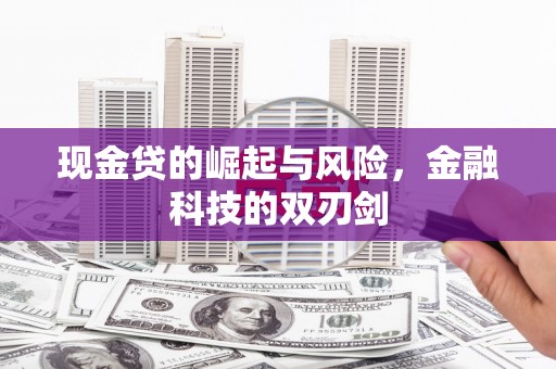 柳东现金贷的崛起与风险，金融科技的双刃剑