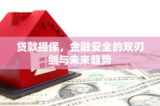 阿图什贷款担保，金融安全的双刃剑与未来趋势