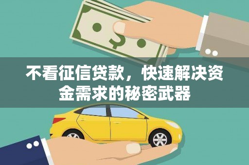 海兴不看征信贷款，快速解决资金需求的秘密武器