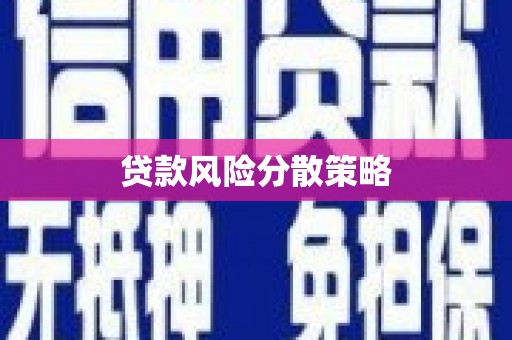 沈丘贷款风险分散策略
