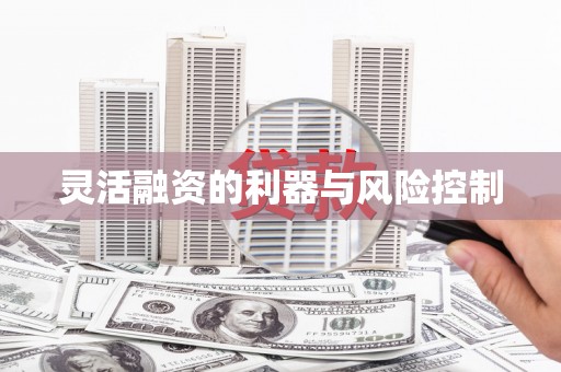 贵溪灵活融资的利器与风险控制