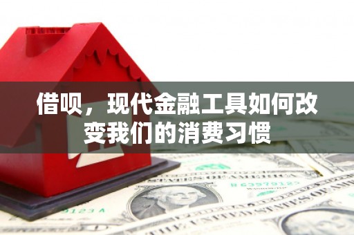 威宁借呗，现代金融工具如何改变我们的消费习惯