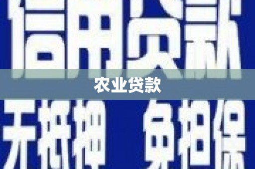 丰城农业贷款