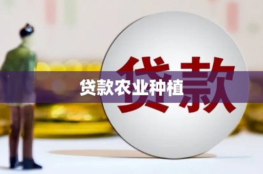 铜锣贷款农业种植