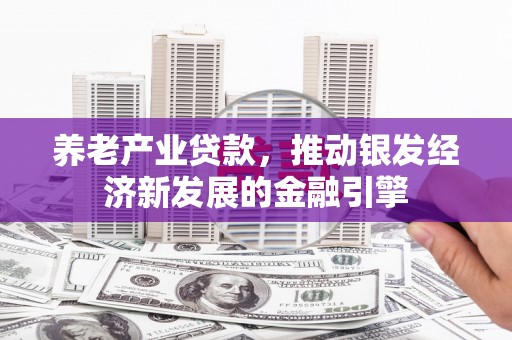 德宏养老产业贷款，推动银发经济新发展的金融引擎