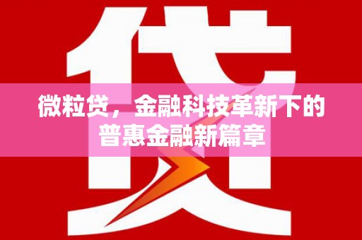 武胜微粒贷，金融科技革新下的普惠金融新篇章
