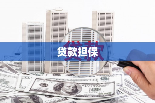阜沙贷款担保