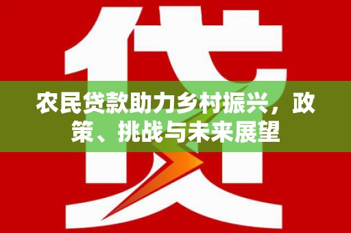 磐安农民贷款助力乡村振兴，政策、挑战与未来展望
