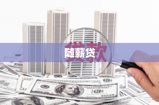 南长随薪贷