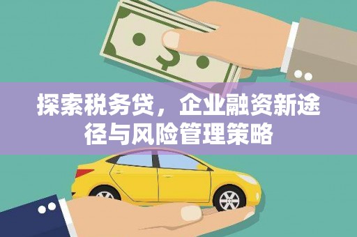 集安探索税务贷，企业融资新途径与风险管理策略