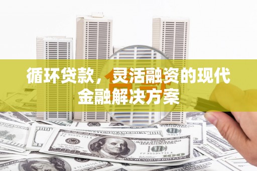 山南循环贷款，灵活融资的现代金融解决方案