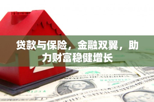 子洲贷款与保险，金融双翼，助力财富稳健增长