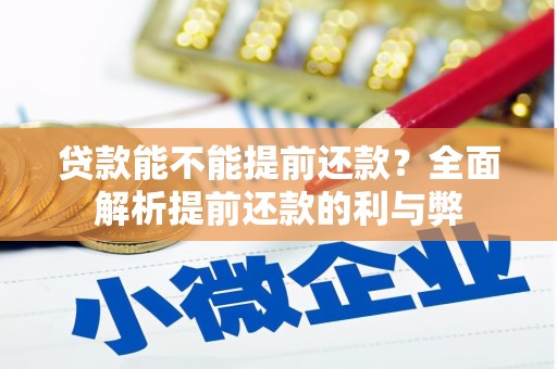 民丰贷款能不能提前还款？全面解析提前还款的利与弊