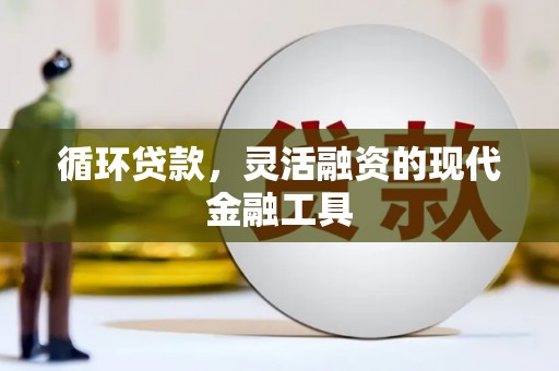 睢宁循环贷款，灵活融资的现代金融工具