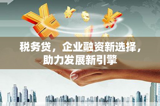 广水税务贷，企业融资新选择，助力发展新引擎