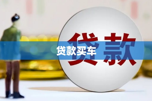 振安贷款买车