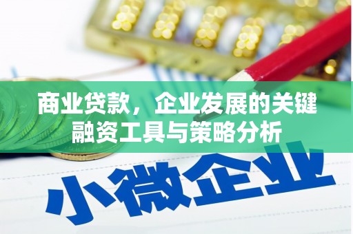 花莲商业贷款，企业发展的关键融资工具与策略分析