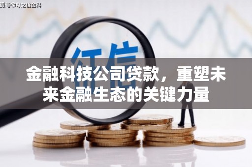 金东金融科技公司贷款，重塑未来金融生态的关键力量