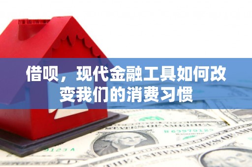 马尔康借呗，现代金融工具如何改变我们的消费习惯